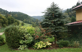 apartmán Adam a Eva